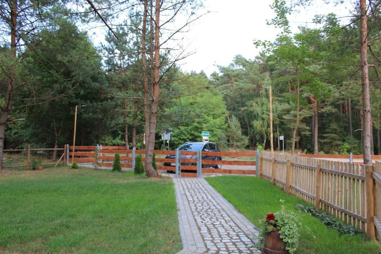 Koci Grzbiet Agroturystyka Dzierzazno Wielkie エクステリア 写真