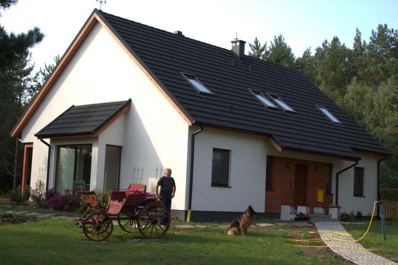 Koci Grzbiet Agroturystyka Dzierzazno Wielkie エクステリア 写真