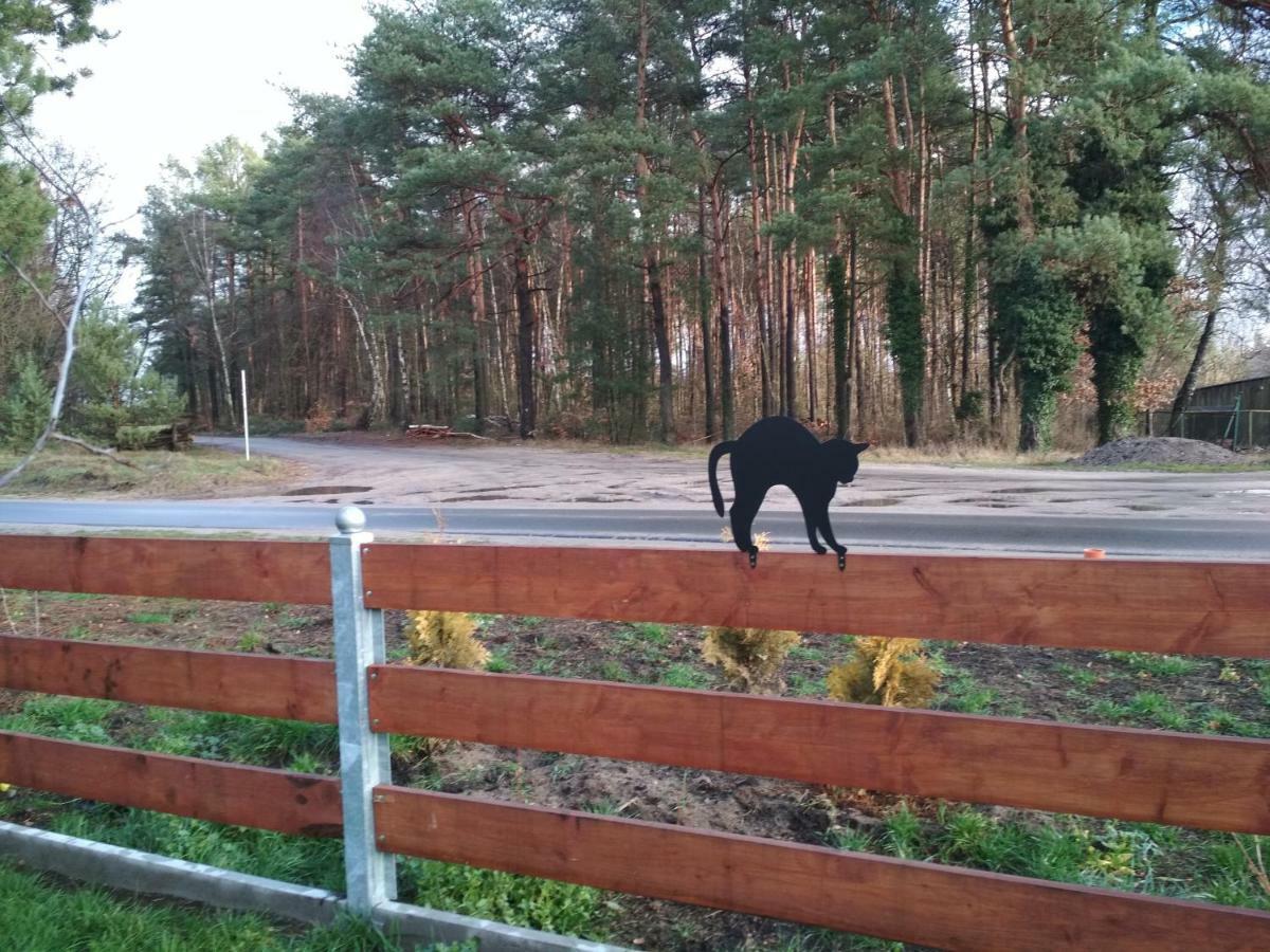 Koci Grzbiet Agroturystyka Dzierzazno Wielkie エクステリア 写真