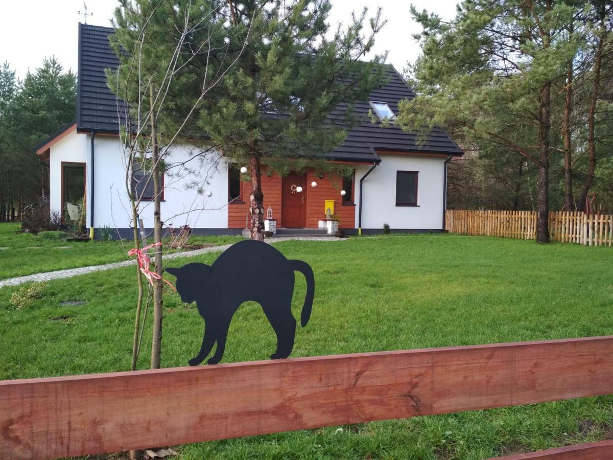Koci Grzbiet Agroturystyka Dzierzazno Wielkie エクステリア 写真