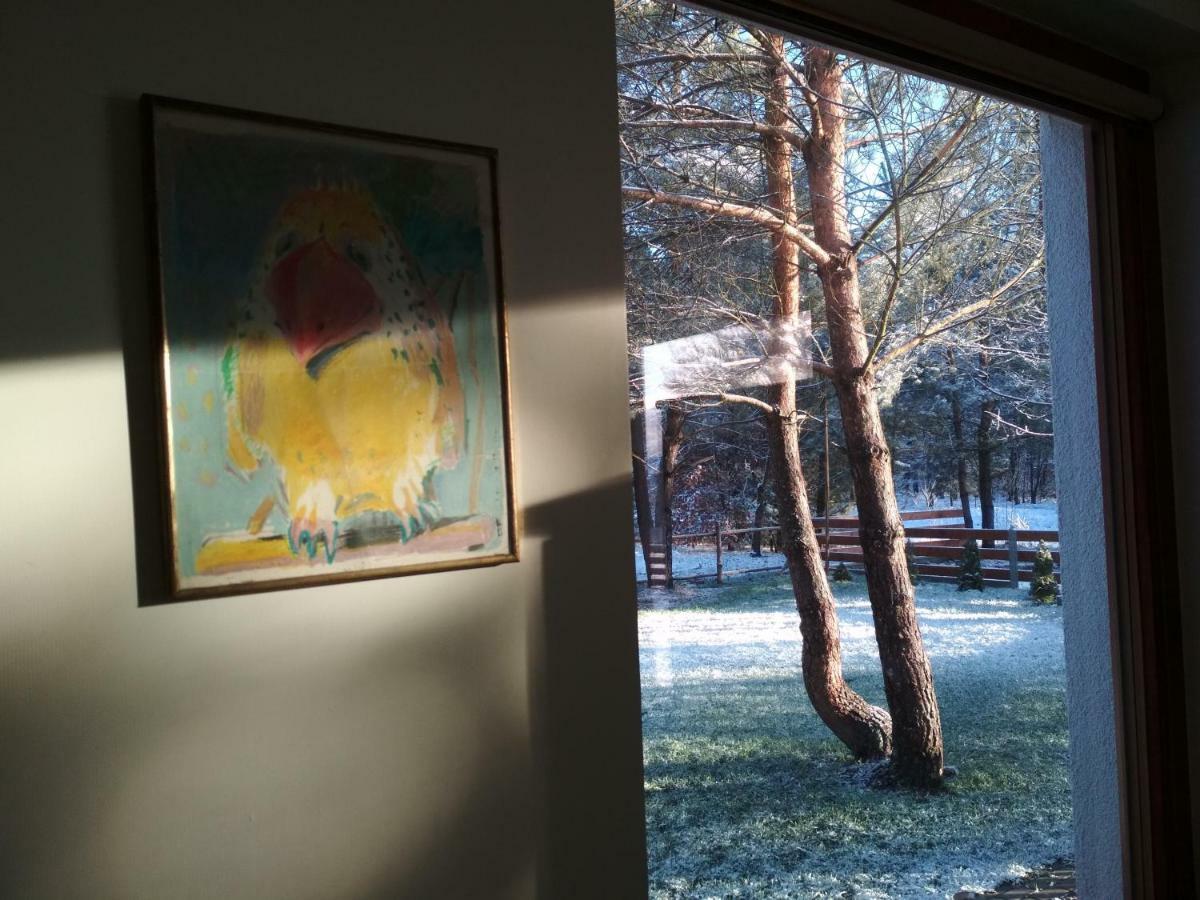 Koci Grzbiet Agroturystyka Dzierzazno Wielkie エクステリア 写真