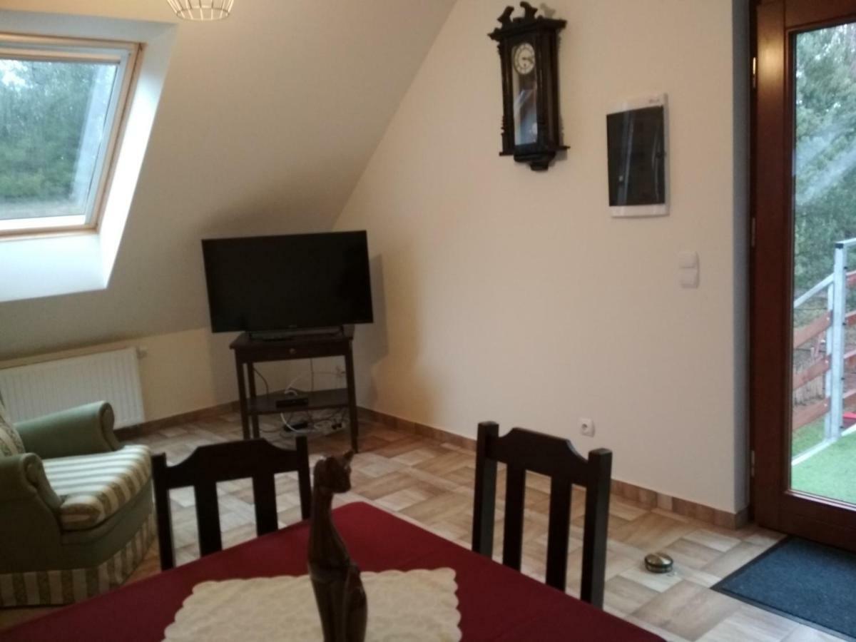 Koci Grzbiet Agroturystyka Dzierzazno Wielkie エクステリア 写真