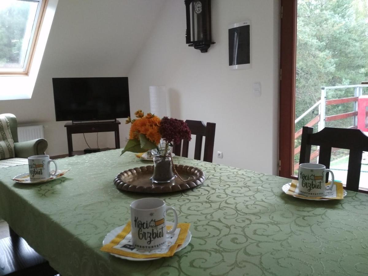 Koci Grzbiet Agroturystyka Dzierzazno Wielkie エクステリア 写真